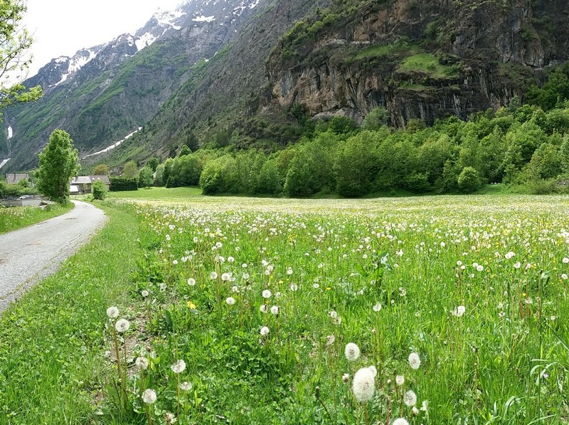 Alpes Isère Oisans Chantelouve