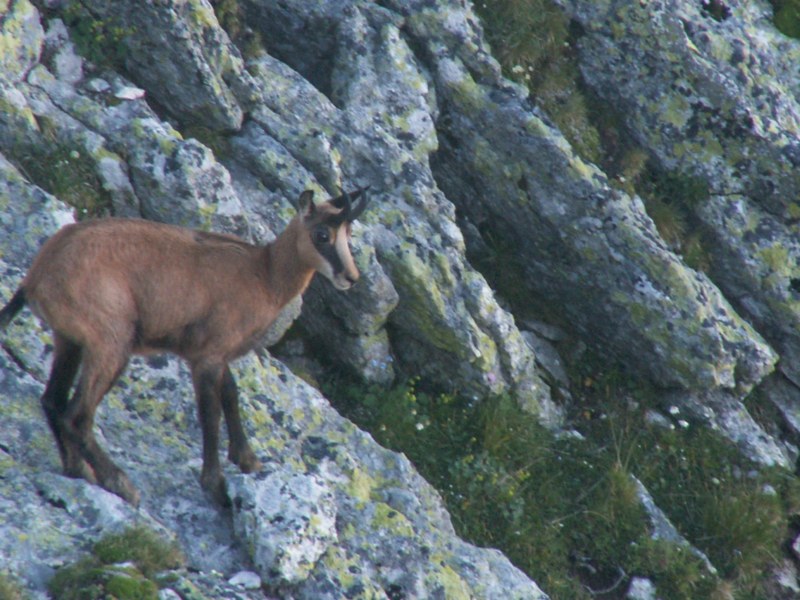 Photo Alpes Oisans Louer gite